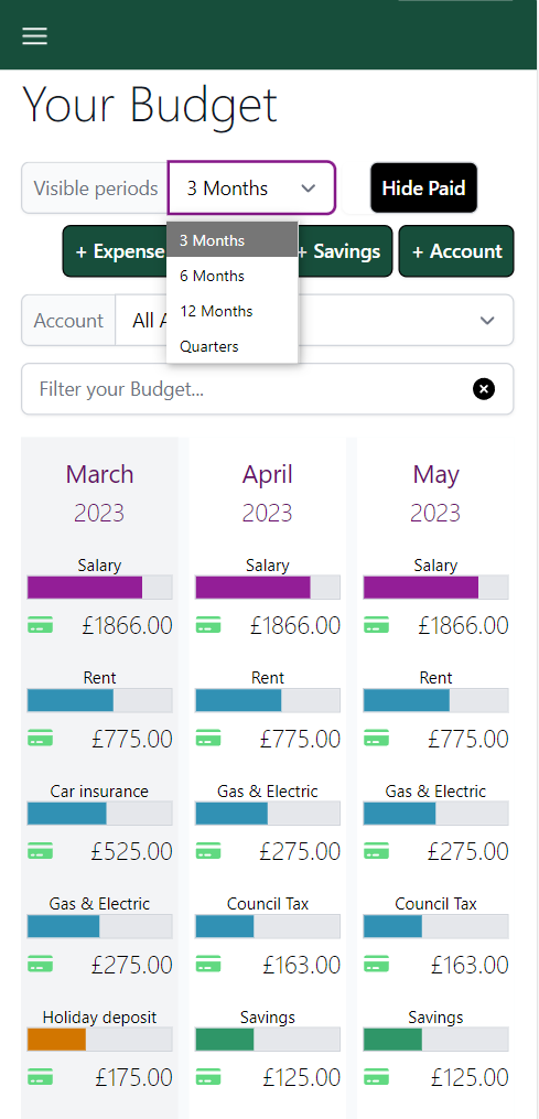 A screen shot of the budget overview in Budget Pro